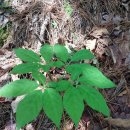 하루네 농장 이미지