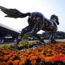 중앙호스