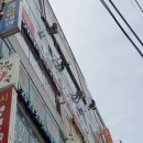 웰빙크리닝 | 모든 청소 고민을 한 번에 해결해준 ‘웰빙크리닝’ 솔직 후기 – 건물 외벽부터 건물준공청소까지