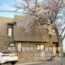 마메종민박 | 제주 월정리, 성산 근처 독채펜션 예쁜 곳 추천 3곳!!