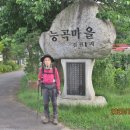 도장골천 Daum카페