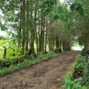 요한목장 이미지