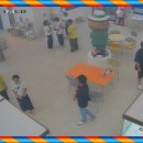 강아지분양 테디럽 이미지