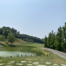 나인 스크린골프 클럽 이미지