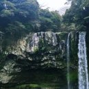 쉬리목장 이미지