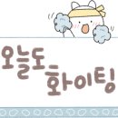 로이드페스츄리