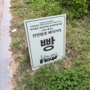 커피 앤 플라워 | [대전빵지순례] 관저동빵집 리사앤플라워 내돈내산 후기