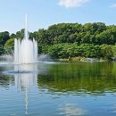 분당중앙공원 이미지