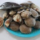 조개구이 이미지