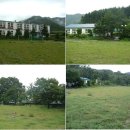 수항초등학교 이미지