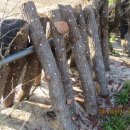 영창농장 이미지