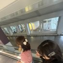 세븐일레븐 광장점 | 엄마랑 둘이서 칭다오 자유여행 54광장 타이동 야시장 5월 날씨