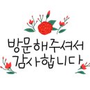 나무온누리약국 이미지