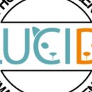 동대문 루시드 동물메디컬센터 이미지