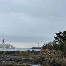 죽도물양장 이미지