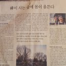 들꽃이야기 이미지