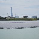 뿌리 태양광발전소 이미지