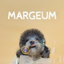 아우우(Aww) 이미지