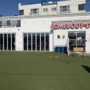 썸바디 독스 이미지