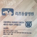리즈동물병원 이미지