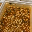 GS25 반여네오점 이미지