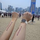 콜핑내서점 | [부산 마라톤 대회] 광안리 나이트 레이스 2024 찐후기 * 첫 7.23km 완주 기념