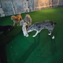 땡글땡굴 이미지