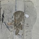 반포대로21길 62 이미지