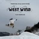 ⭐️약학대학 스키/스노우 보드 동아리 &#39;하늬바람&#39;⛷🏂에서 14.5기 신입회원을 모집합니다!⭐️ 이미지