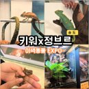 하일마트 | 인천 송도 아이와 가볼만한곳 키워X정브르 이색동물 EXPO 체험 송도컨벤시아 주차 할인