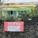 한철 | 제주 빵지순례 백한철꽈배기 : 오픈런 포장 후기! 주차 &amp; 보관 방법 &amp; 10월 휴무