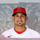 라 스텔라(La Stella) 이미지