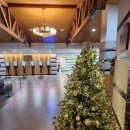 골드트리 골프클럽 이미지