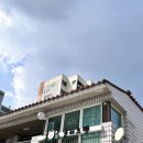 올리브 펫 | [성남/야탑] 귀여운 포메들을 만날 수 있는 애견 카페! 올리브펫 방문후기