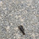 꽃골농장 이미지