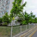 한내로터리길 이미지