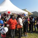 군산영어체험학습센터 이미지