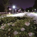 경춘선숲길공원 이미지