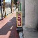 감성돔필름