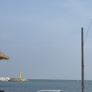 연화반점 | 연화리맛집 연화반점 방문 후기 !