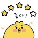 퍼피라떼 이미지