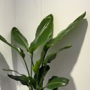 진심담은치과의원 이미지