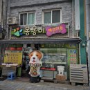 몽몽이애견미용 이미지