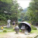 황지연못 가는길 이 Daum카페
