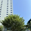 마리나산부인과의원 이미지