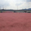 장기리마을회관 이미지