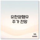 웰리드 | 유한양행우 주가 전망과 유한양행우선주 배당 분석 웰리드 항산화제 효과