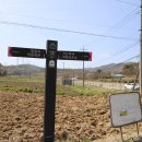 천년숲동로(서) Daum카페