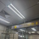 [서울] 회 먹고 싶은 날 노량진 수산시장에서 회포장 하기 (전라상회, 청해수산, 민지네)