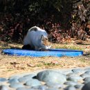 대명3동경로당 이미지